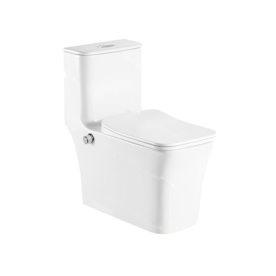 LT-1111B white one-piece-toilets