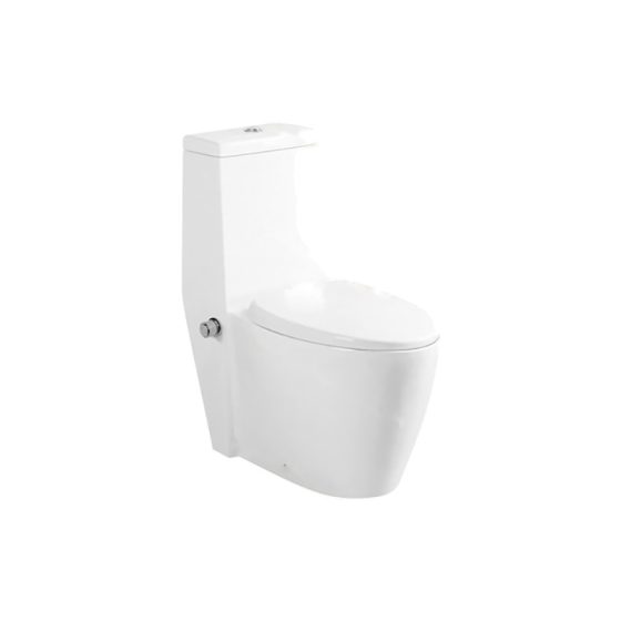 LT-1113-Bidet white one-piece-toilets
