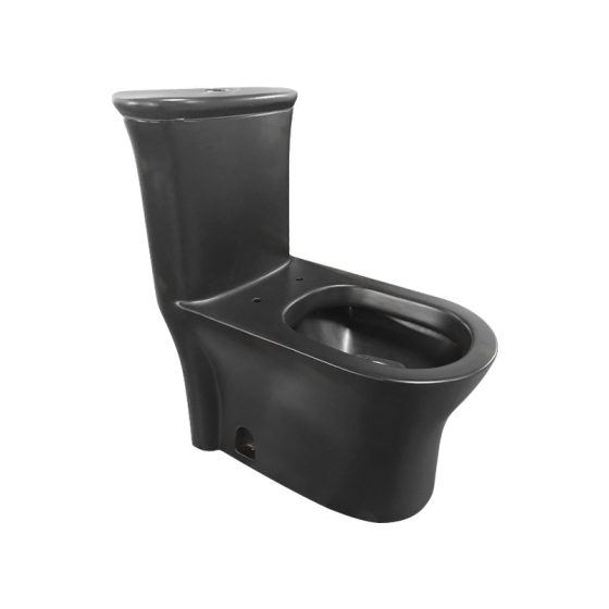 LT-1119-M-BL black one-piece-toilets