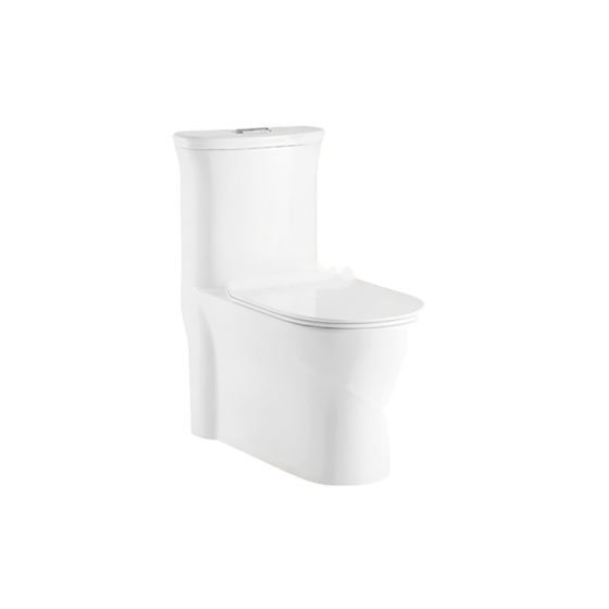 LT-1119 white one-piece-toilets