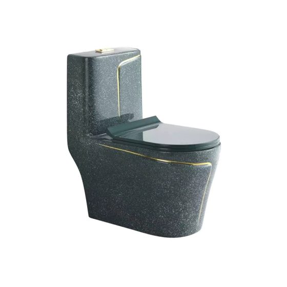 LT-1121-CDG-PGGL black one-piece-toilets