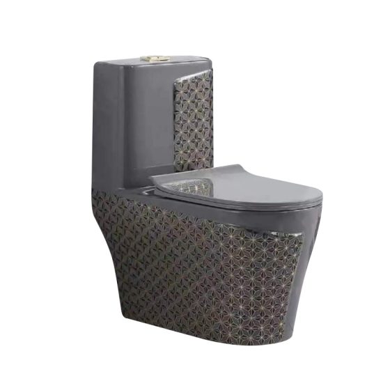 LT-1121-CG-DG2 black one-piece-toilets