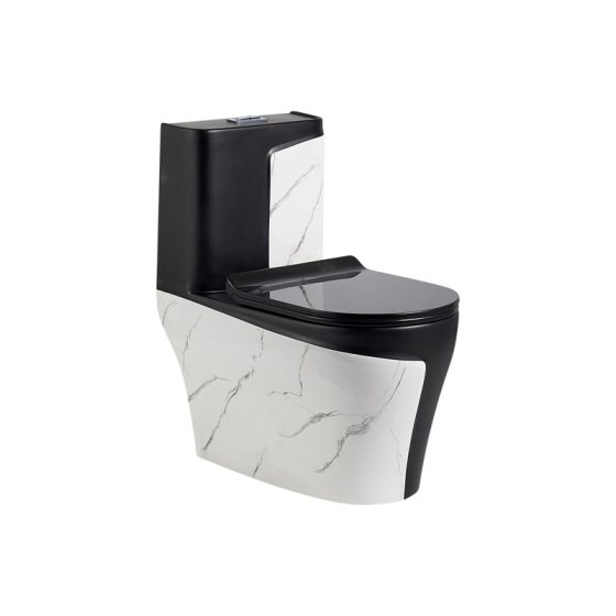 LT-1121-DP-WBL black one-piece-toilets