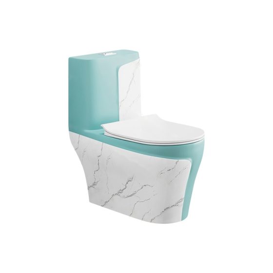 LT-1121-DP-WG patterned one-piece-toilets