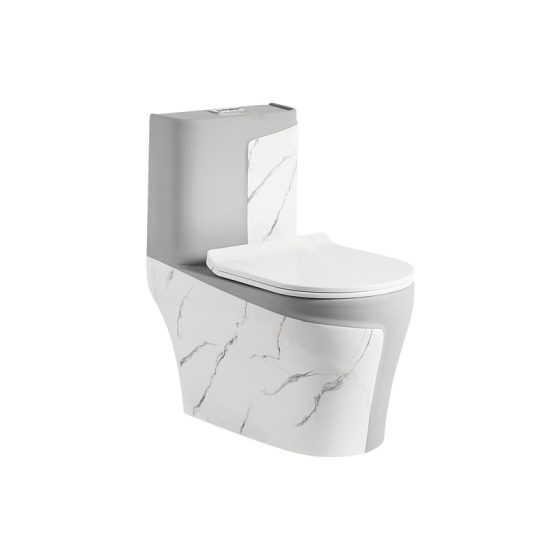 LT-1121-DP-WLG white one-piece-toilets