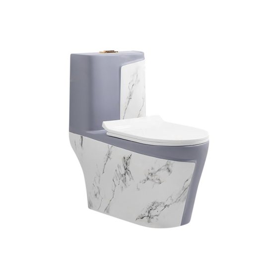 LT-1121-DP-WP patterned one-piece-toilets