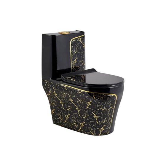 LT-1121-GID-BLG black one-piece-toilets