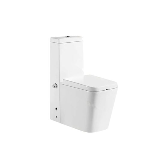 LT-1123-Bidet white one-piece-toilets