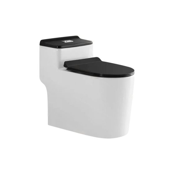 LT-1124-CG-WBL patterned one-piece-toilets