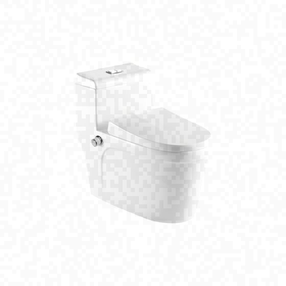 LT-1125-Bidet white one-piece-toilets