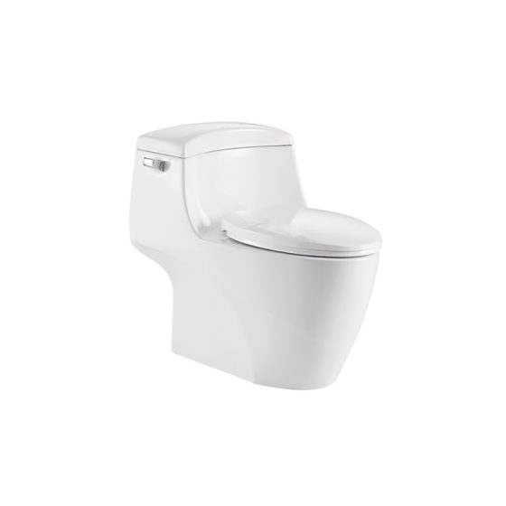 LT-1126 white one-piece-toilets