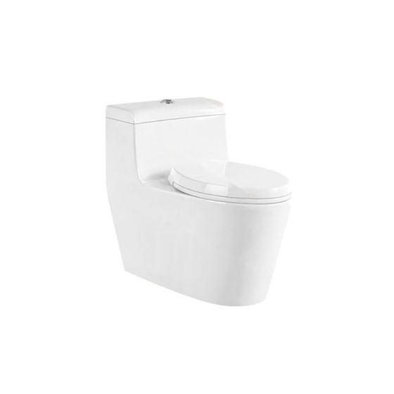 LT-1127 white one-piece-toilets