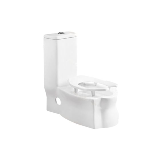 LT-1128 white one-piece-toilets