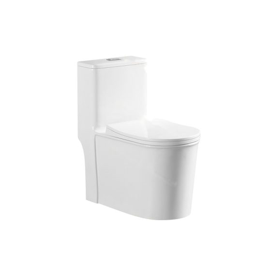 LT-1129 white one-piece-toilets