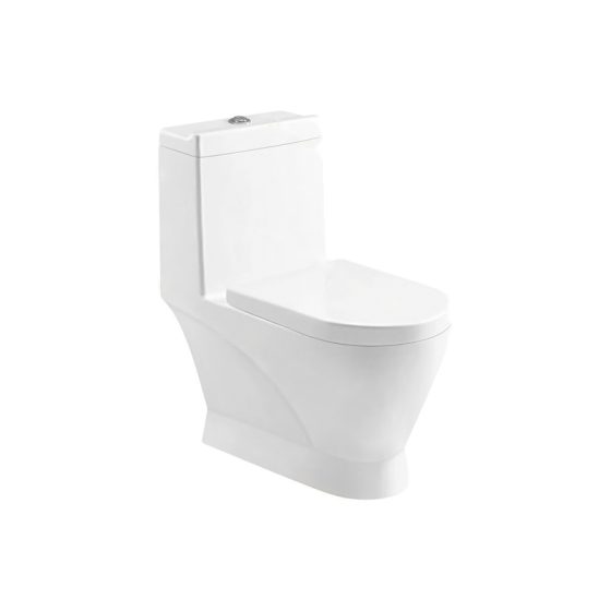 LT-1131 white one-piece-toilets