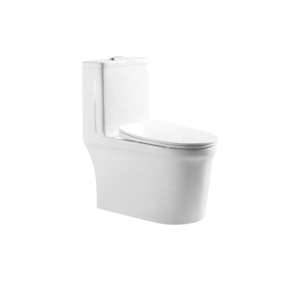 LT-1132 white one-piece-toilets