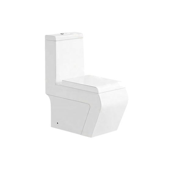 LT-1135 white one-piece-toilets