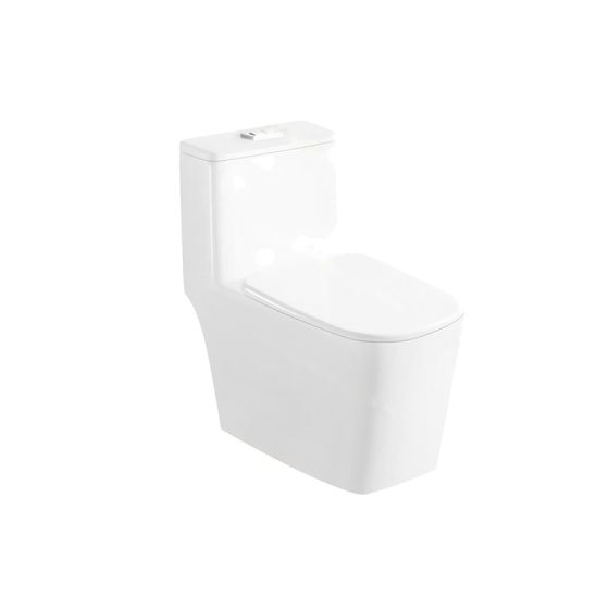 LT-1138 white one-piece-toilets
