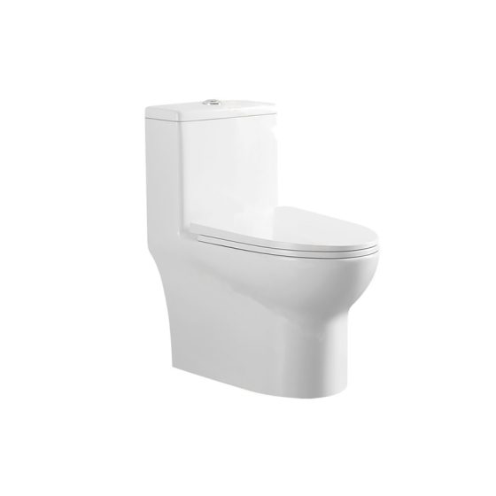 LT-1143 white one-piece-toilets