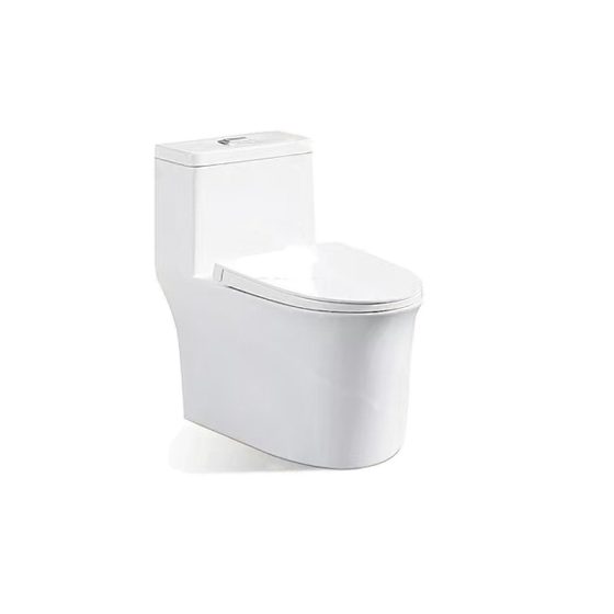 LT-1145 white one-piece-toilets