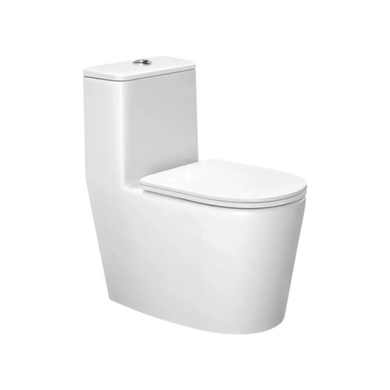LT-1147 white one-piece-toilets