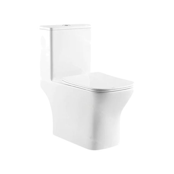 LT-1155 white one-piece-toilets