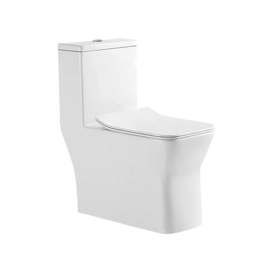 LT-1157 white one-piece-toilets