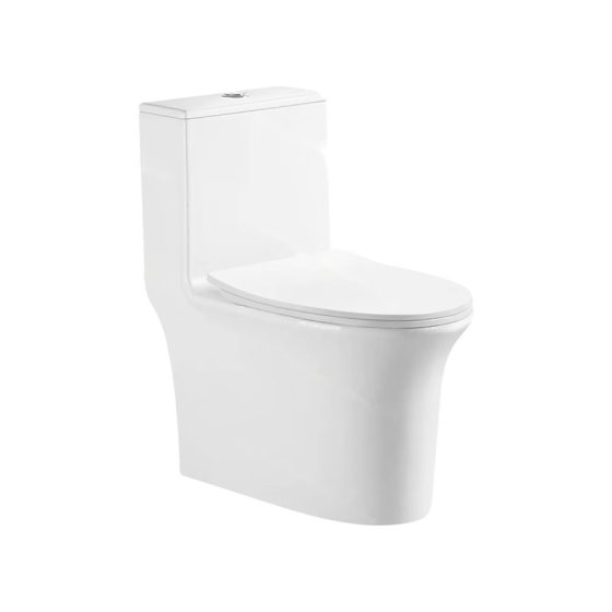 LT-1158 white one-piece-toilets