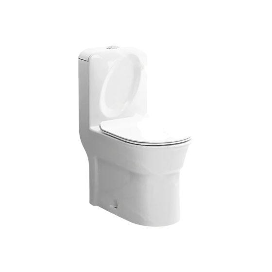 LT-1163 white one-piece-toilets