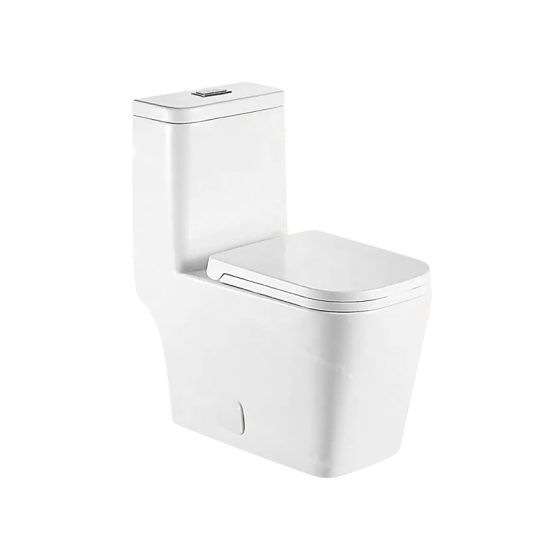 LT-1167-OPT white one-piece-toilets