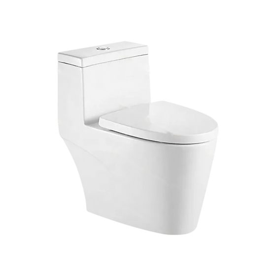 LT-1175 white one-piece-toilets