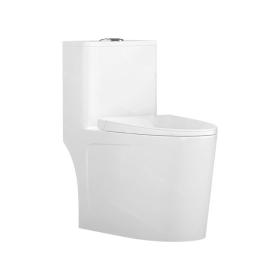 LT-1176 white one-piece-toilets