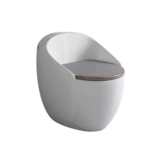 LT-1181-CG-WGG grey one-piece-toilets