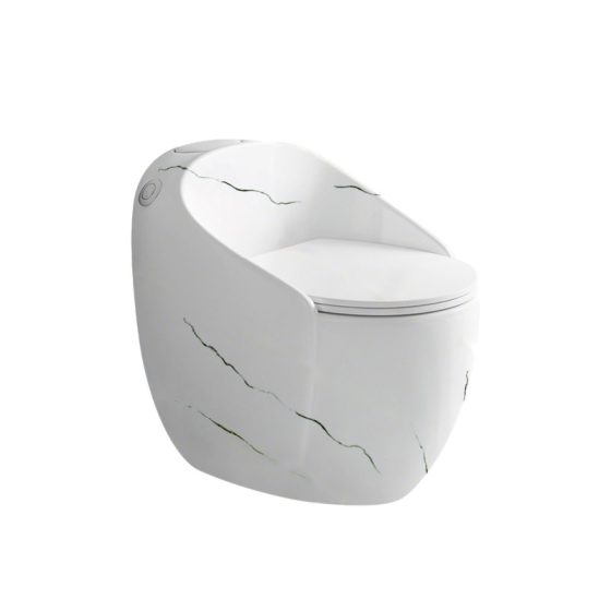 LT-1181-DP-W1 grey one-piece-toilets