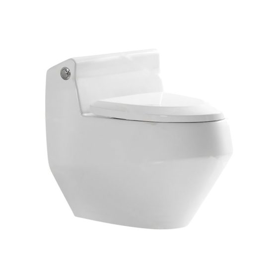 LT-1184 white one-piece-toilets