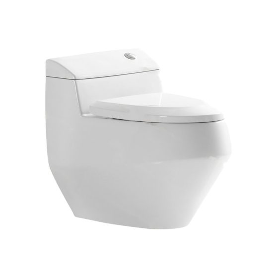 LT-1185 white one-piece-toilets