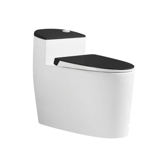LT-1189-M-WB white one-piece-toilets
