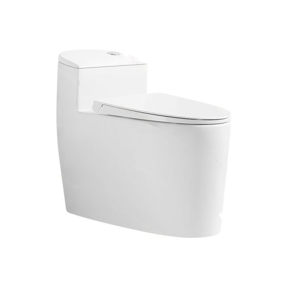 LT-1189 white one-piece-toilets