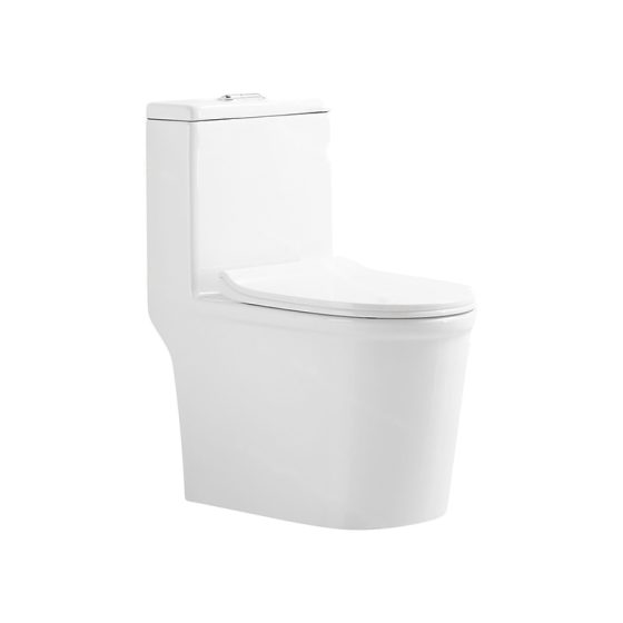 LT-1193 white one-piece-toilets