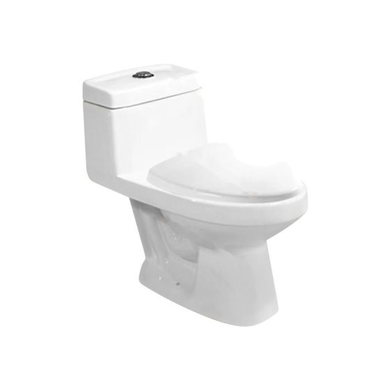 LT-1196 white one-piece-toilets