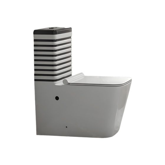 LT-1197-CP-WSBL1 grey one-piece-toilets