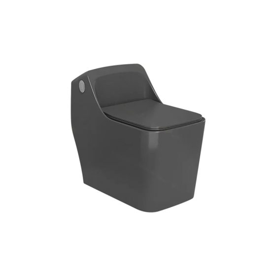 LT-1201-CG-DG black one-piece-toilets