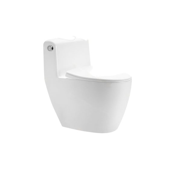 LT-1202 white one-piece-toilets