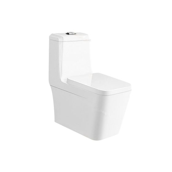 LT-1208 white one-piece-toilets