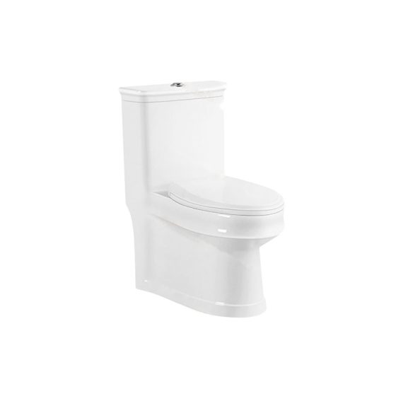 LT-1211 white one-piece-toilets
