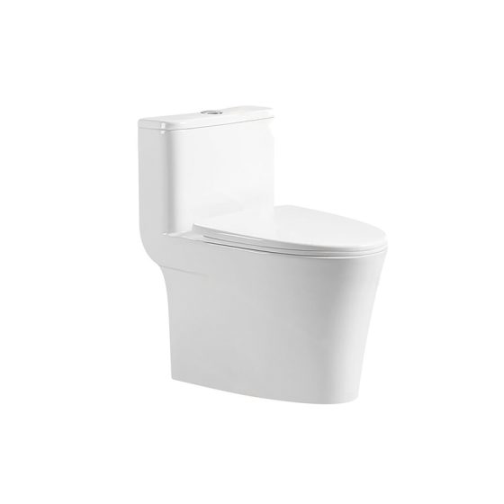 LT-1214 white one-piece-toilets