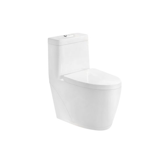 LT-1215 white one-piece-toilets