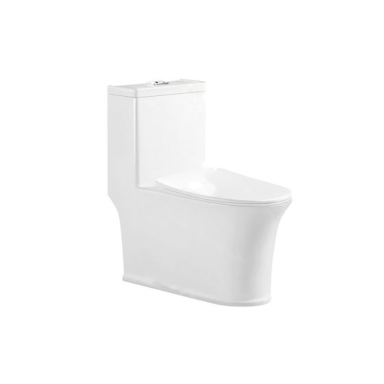 LT-1217 white one-piece-toilets