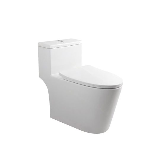 LT-1218 white one-piece-toilets