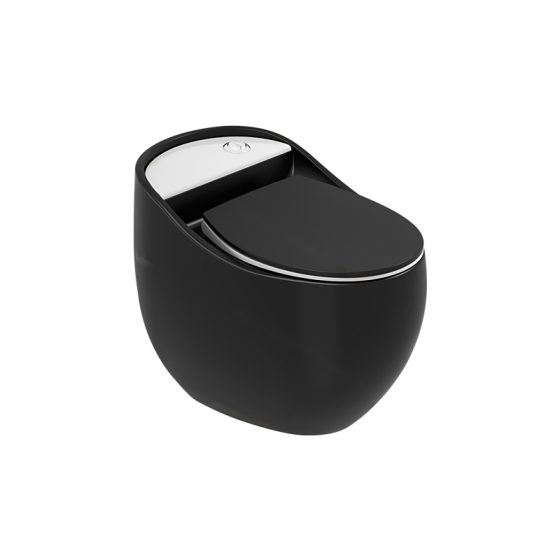 LT-1219-M-BLW black one-piece-toilets